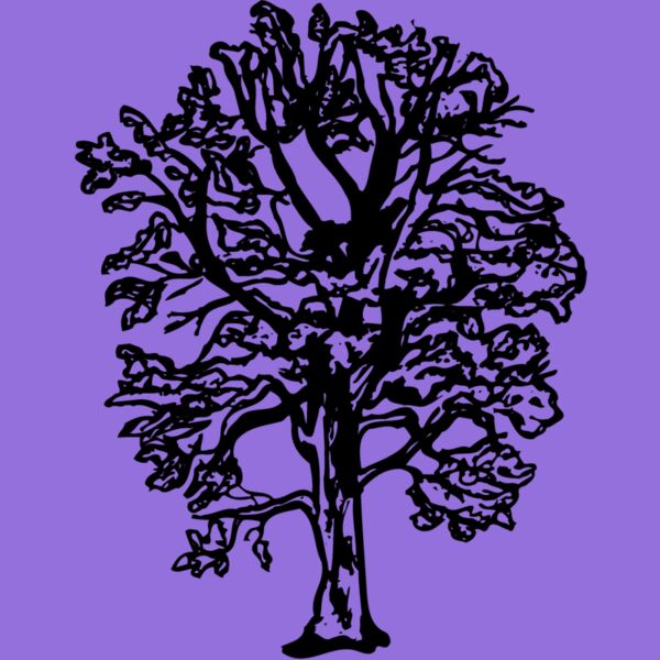 TREE0018 Thumbnail