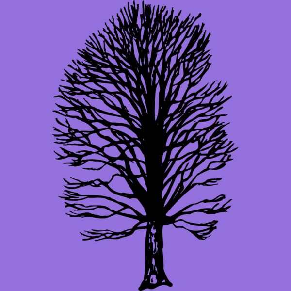 TREE0019 Thumbnail