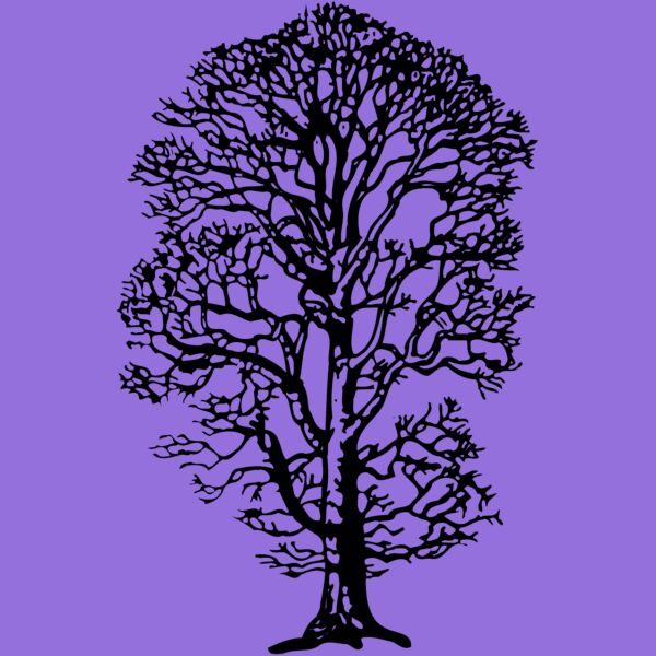 TREE0021 Thumbnail