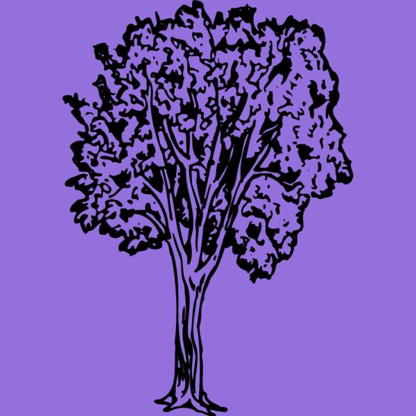 TREE0024 Thumbnail