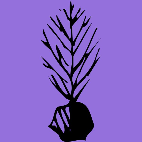 TREE0035 Thumbnail