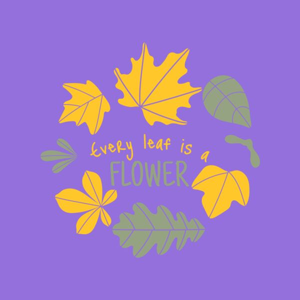 Fall Season 13 Thumbnail