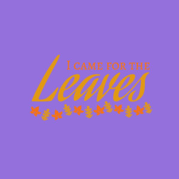 Fall Season 28 Thumbnail