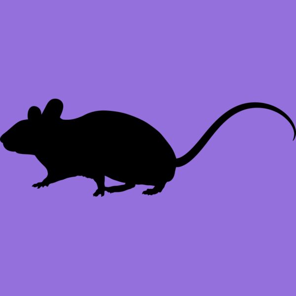 Mouse   Clipart 1 Thumbnail