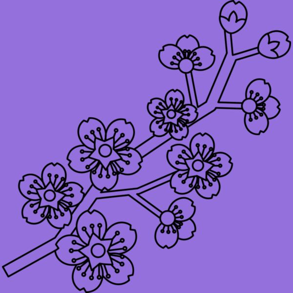 Cherry Blossom Branch Thumbnail