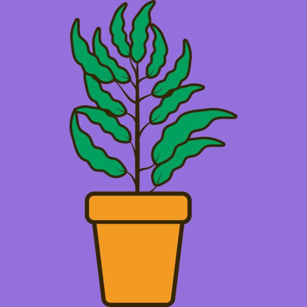 Plant 2 Thumbnail