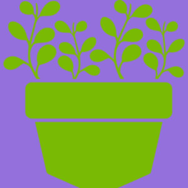 Succulent Plant 3 Thumbnail