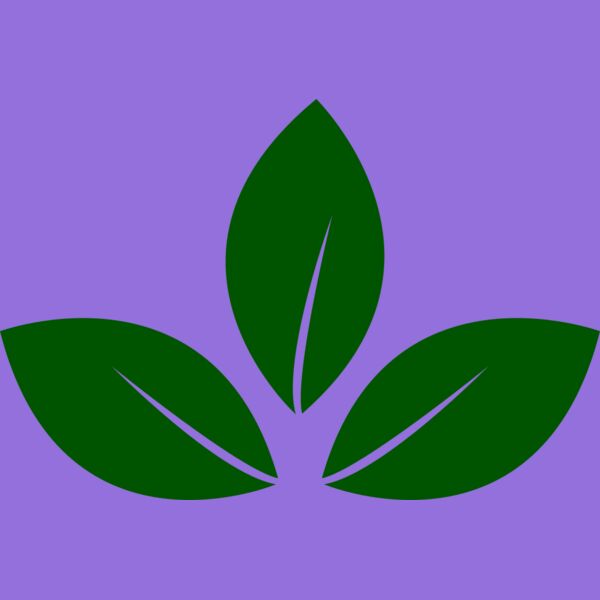 Leaves 5 Thumbnail