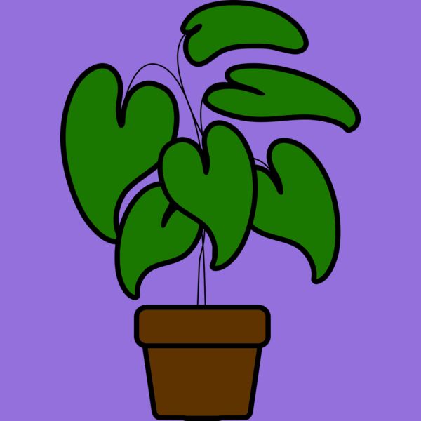 Plant Thumbnail