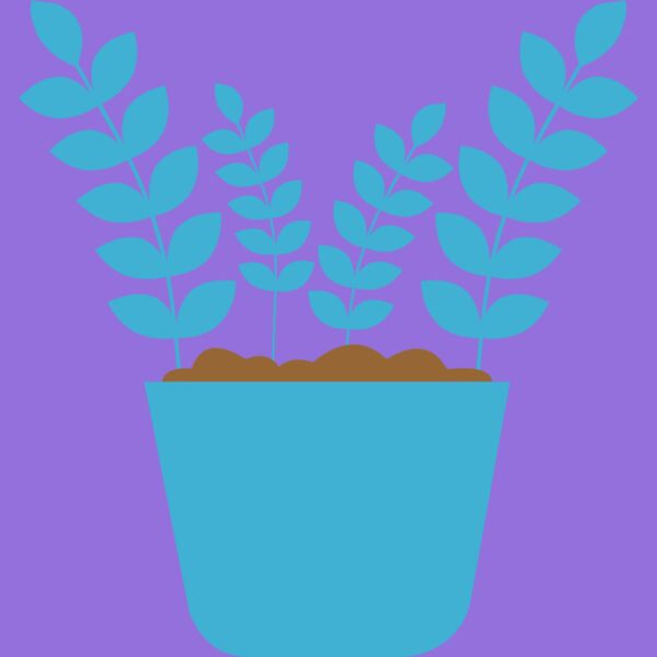 Plant 5 Thumbnail