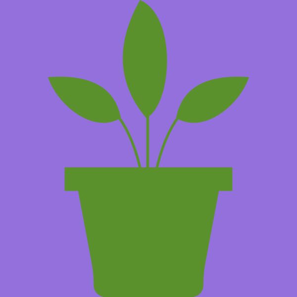 Plant 2 Thumbnail