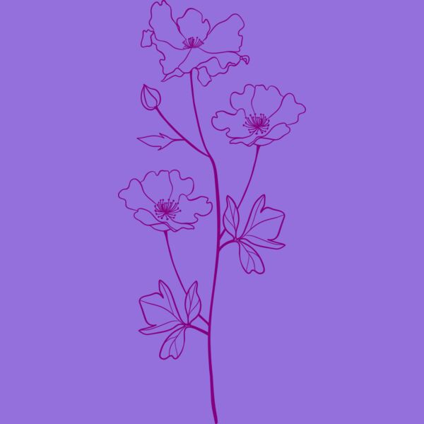 Flower 8 Thumbnail