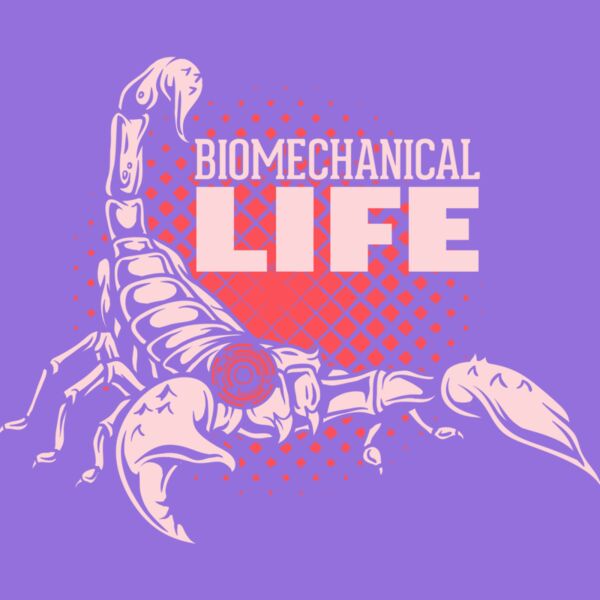 2016 03 14 023 Thumbnail