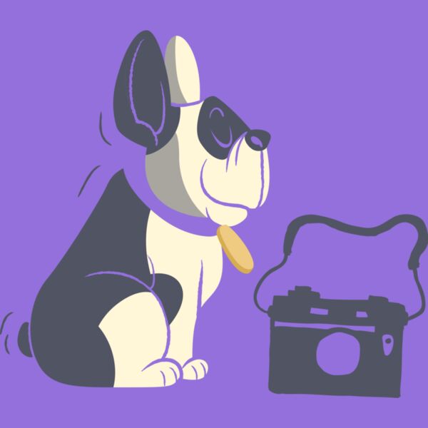 Dog Camera Thumbnail